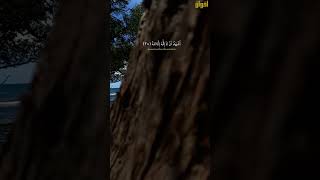 Download lagu Adzan Viral Bayyati Husaini #adzan #adzanmerdu #feedshorts #shorts #viralshorts #fyp #nature mp3
