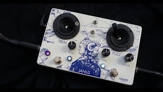 Video thumbnail for Walrus Audio - Janus by Dennis Kayzer