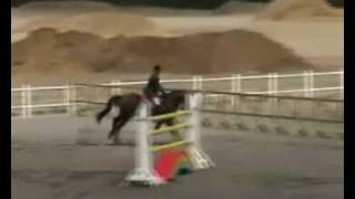 Torsten the worrying kind.wmv