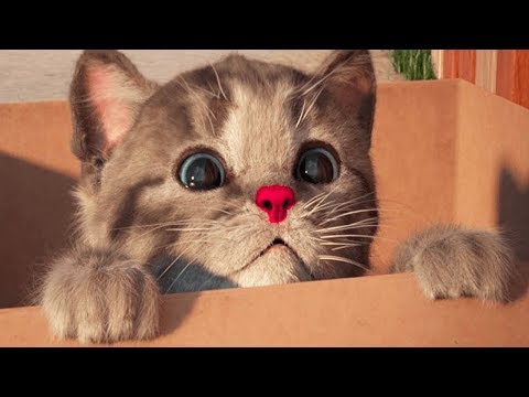, title : 'Little Kitten My Favorite Cat - Play Fun Kitten Pet Care Animation Games For Children By Fox & Sheep'