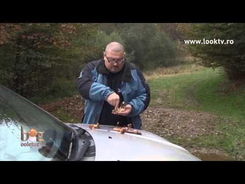 Căprarul satului din Capuşu Mic e fan Big Boletus