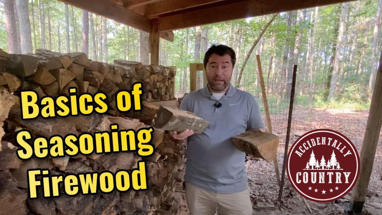 How to Season Firewood 101