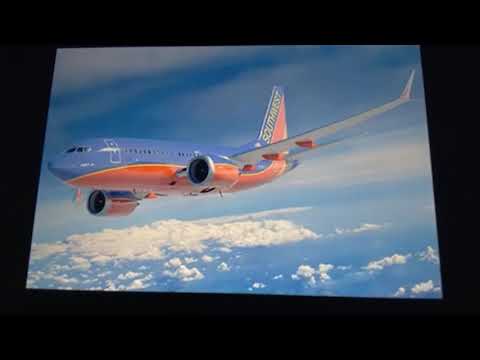 Toon Age Dawn Of The Animals Nick@Nite Family Intro