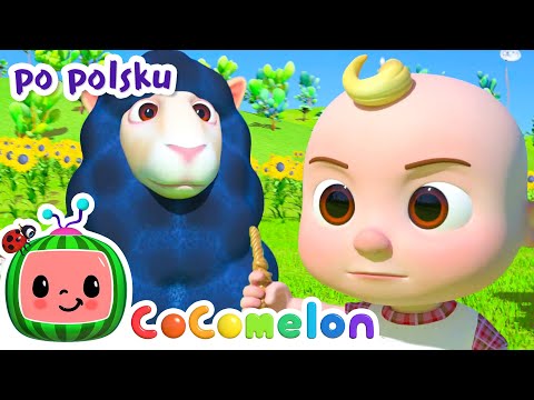 Czarna owco | CoComelon po polsku 🍉🎶 Piosenki dla dzieci