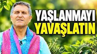 HÜCRE YAŞINI 10 YIL GERİYE ÇEKEN 11 MUCİZE BİTKİ