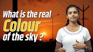 What is the real colour of the sky? | Tamil | LMES #73