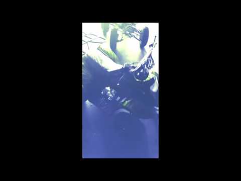 December 18, 2016 at 12_45 pm