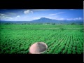Kacang Garuda Testimonial Petani 30