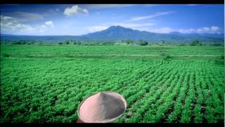 Download lagu Kacang Garuda - Testimonial Petani 30' mp3