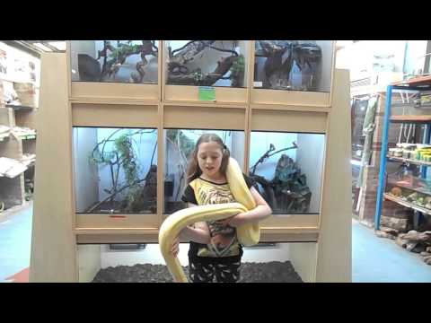 vanishing world - olivia binfield