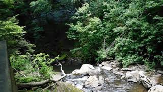 preview picture of video 'Middle Falls at Falls of Hills Creek in Hillsboro, West Virginia'