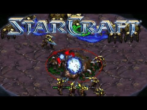 Starcraft 05 - Protoss Pain