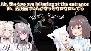 Fubuki and Matsuri babysit two scaredy cats!【Hololive】