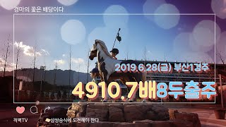 [삼쌍식] 19년6월28일 부산경마1경주 베팅(3×3×2패턴) 공부