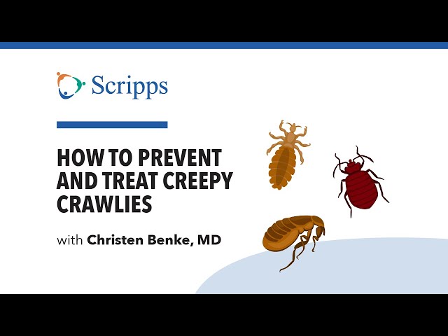 Creepy Crawly Bugs: Lice vs. Flea vs. Tick vs. Lice - Scripps Health