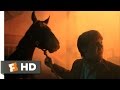 Black Beauty 1994 Stable Fire Scene 4 10 Movieclips