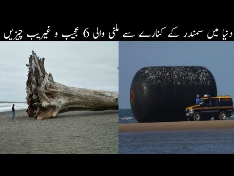 6 Most amazing things found on Beach Urdu | دنیا کی beaches  ملنے والی آٹھ  حیرت انگیز چیزیں