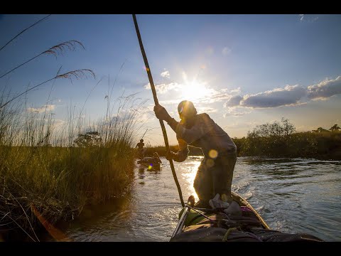 afbeelding Into the Okavango