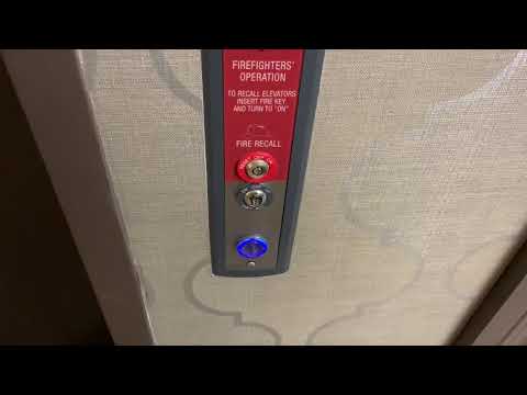 Thyssenkrupp Signa 4 Hydraulic Elevator @ Best Western Plus Kingston NY