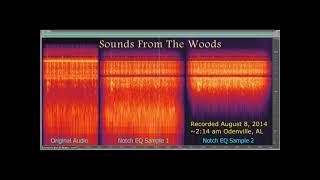 20140808 0214 Sounds From The Woods