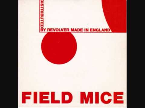 A Wrong Turn And Raindrops - The Field Mice