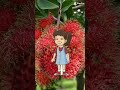 Emmy Cartoon Dragon Tales I Am Rakhi Ratanjali