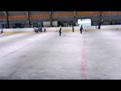 U12 Piros Szabolcsi Sólymok - White Sharks HC 2020.11.29. Nyíregyháza