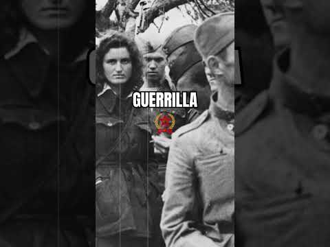 Tito’s Guerrilla Strategy in WW2
