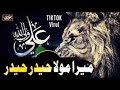 Mera Mola Haider Haider | TikTok Viral |AliHaqAli | Hafiz Rizwan Ghuman | Full Manqabat 2022