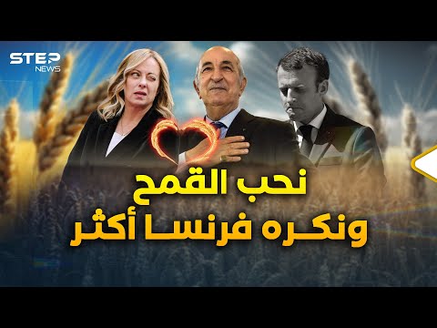 حبوب تنهمر على الجزائر