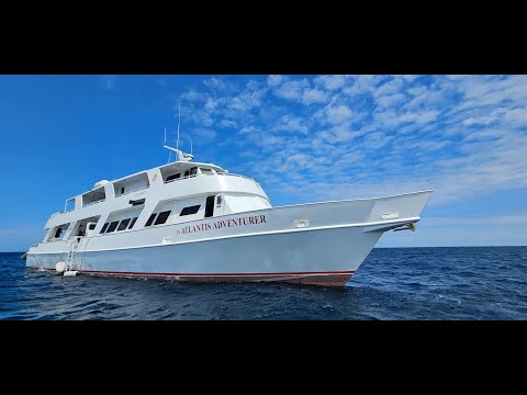 Atlantis Dive Resorts and Liveaboard - Dumaguete video