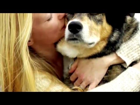 Mincha Moment 21 -  "Life is Beautiful" The Icarus Account