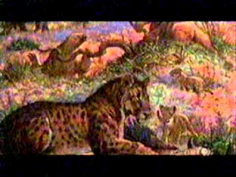 ICE AGE IN NORTHERN CA