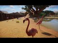 Planet Zoo PC English 186 5 Minutes Of American Flamingo Americas Animal Pack DLC