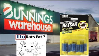RATSAK FROM BUNNINGS, WILL RATS EAT IT?    NOISES IN MY ROOF!