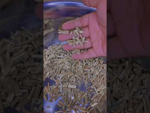 UMHLAKAZA UMUTHI | WENZANI LOMUTHI?  #duet  #inakuletakaribunamungu