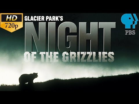 Glacier Park's: Night of the Grizzlies | PBS Documentary ⁷²⁰ᵖ