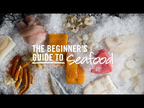 Beginner’s Guide to Seafood