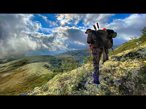 Im Land der Wikinger _ HOD-Trailer