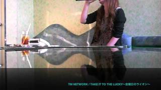 TM NETWORK「TAKE IT TO THE LUCKY（金曜日のライオン）」karaoke