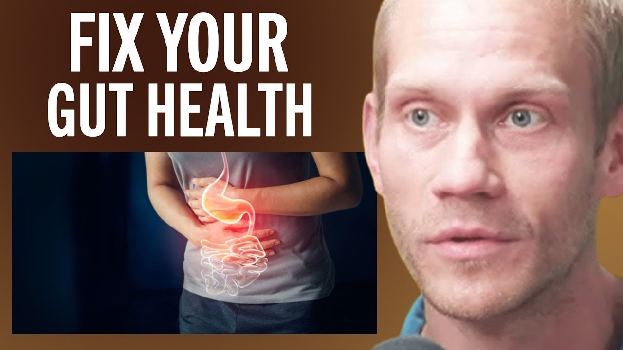 Neuroscientist: What You NEED To Know For Better Gut Health | Dr. Tommy Wood