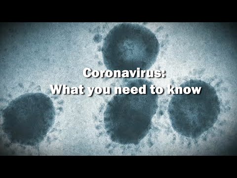 What is coronavirus?