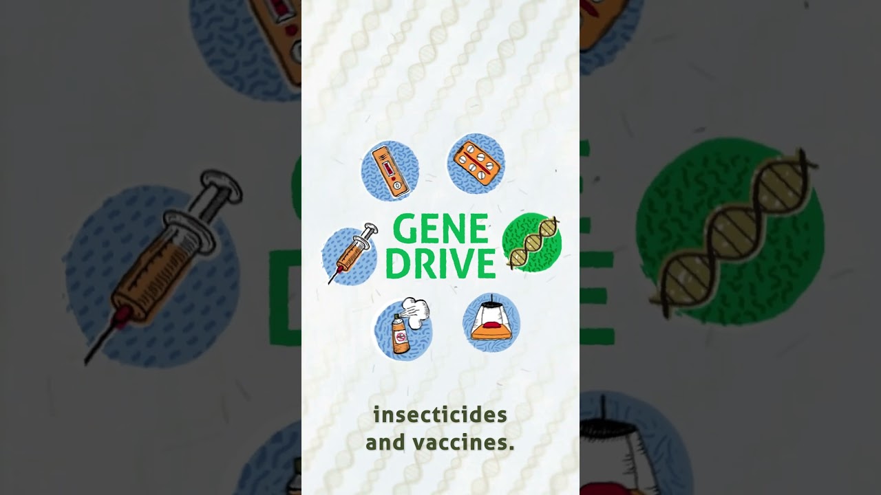 Gene drive is a new tool which could complement existing malaria control tools