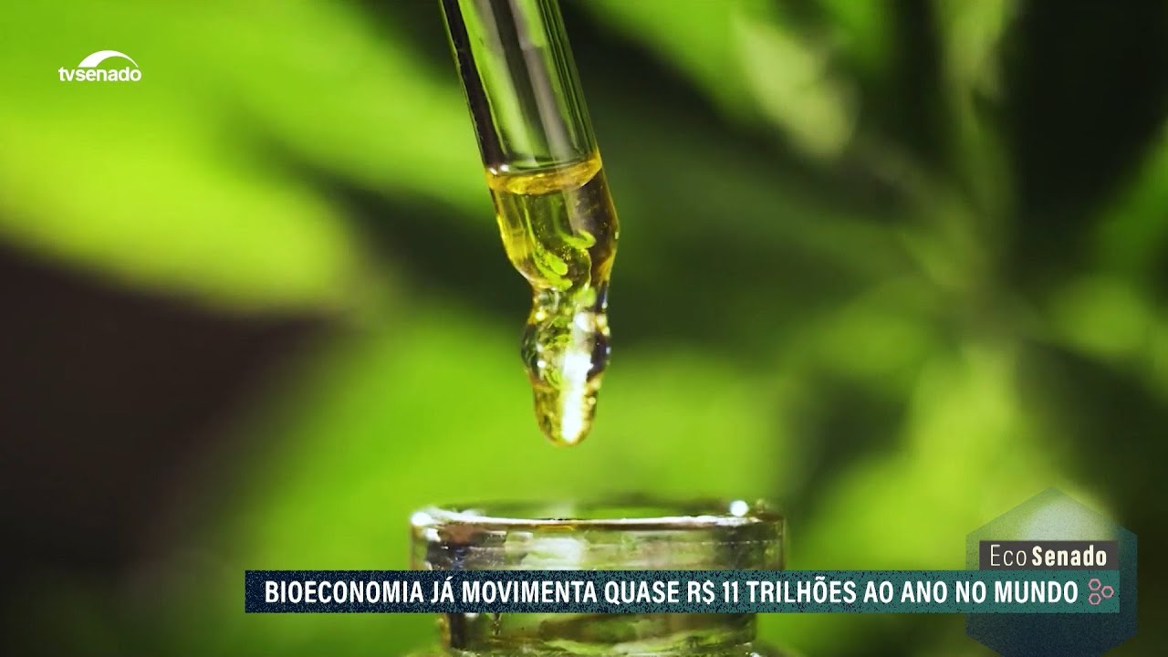 Bioeconomia: Brasil tem enorme potencial para o desenvolvimento sustentável