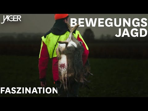 Faszination Bewegungsjagd | JÄGER Drückjagdsaison