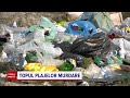 Cele Mai Murdare Plaje De Pe Litoral Curățate De Voluntari S Au Adunat Peste 5 500 De Gunoaie