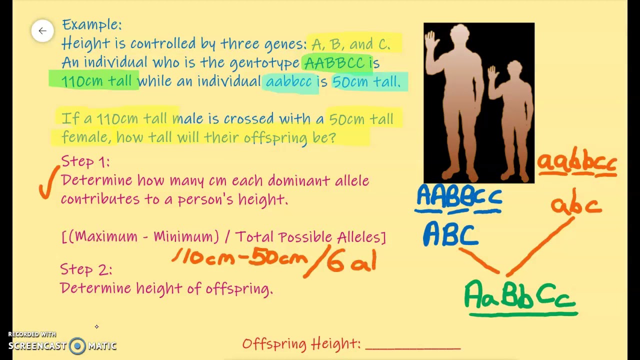 Performing Polygenic Problems