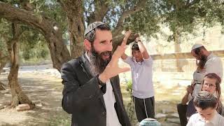 הקשר העמוק בין ראש השנה להר הבית | הרב אלישע וולפסון (ישיבת הר הבית) - התמונה מוצגת ישירות מתוך אתר האינטרנט יוטיוב. זכויות היוצרים בתמונה שייכות ליוצרה. קישור קרדיט למקור התוכן נמצא בתוך דף הסרטון הקשר העמוק בין ראש השנה להר הבית | הרב אלישע וולפסון (ישיבת הר הבית) - התמונה מוצגת ישירות מתוך אתר האינטרנט יוטיוב. זכויות היוצרים בתמונה שייכות ליוצרה. קישור קרדיט למקור התוכן נמצא בתוך דף הסרטון