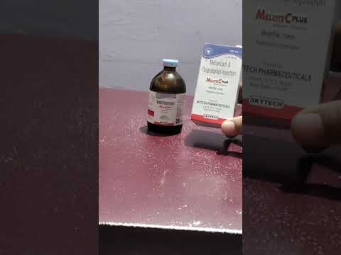 Meloxicam Paracetamol Injection (100 ml)