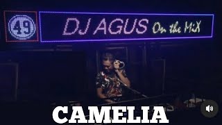 Download lagu Dj Agus Camelia (Dj Remix Viral) Sudahlah Jangan Menangis Lagi KuRasa Cukup Sampai DiSini mp3